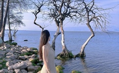 日本漫画口番工全彩